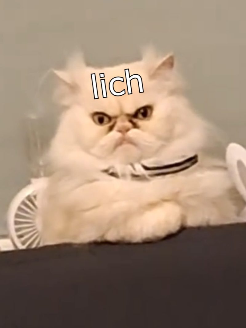 Die Dawgs grüßen