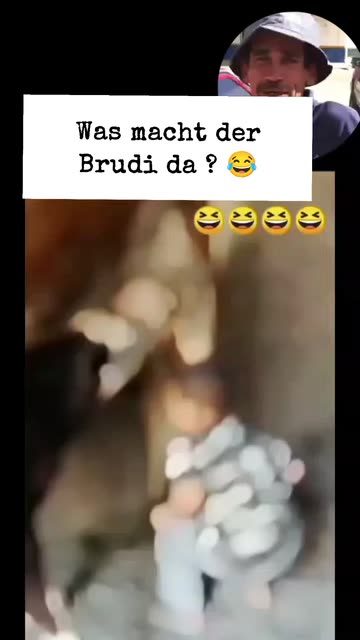 Snapchat-Spotlight · @dogworldlover