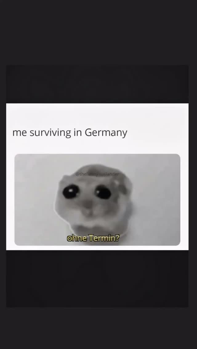 bitte pls .