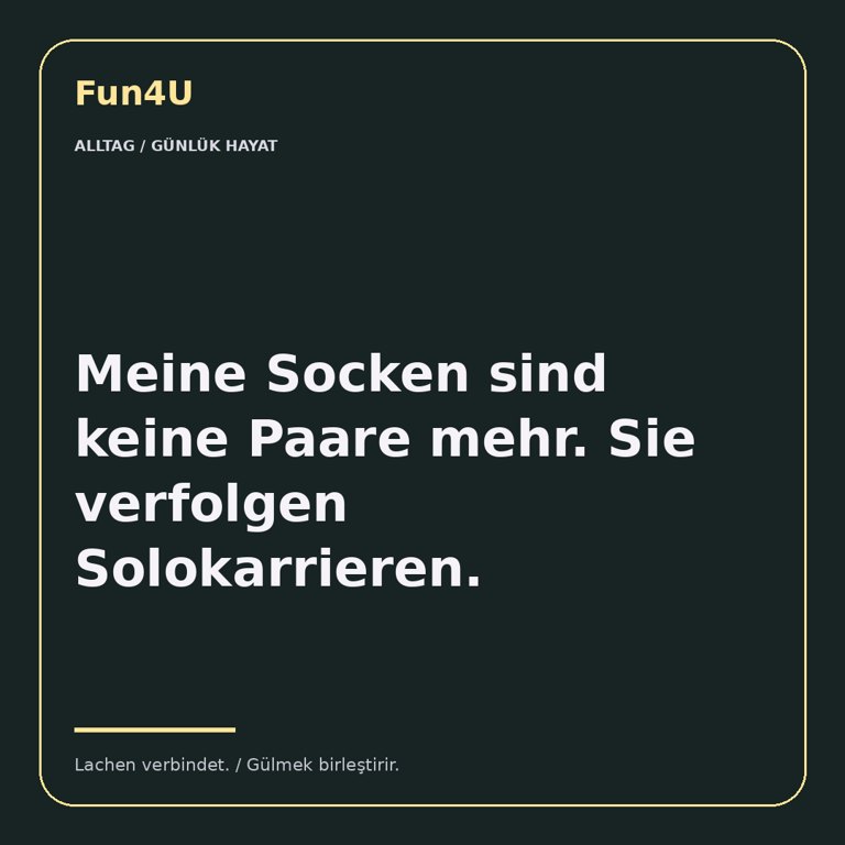 Meine Socken sind keine Paare mehr. Sie verfolgen Solokarrieren.